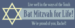 Preview of Bat Mitzvah for Life!